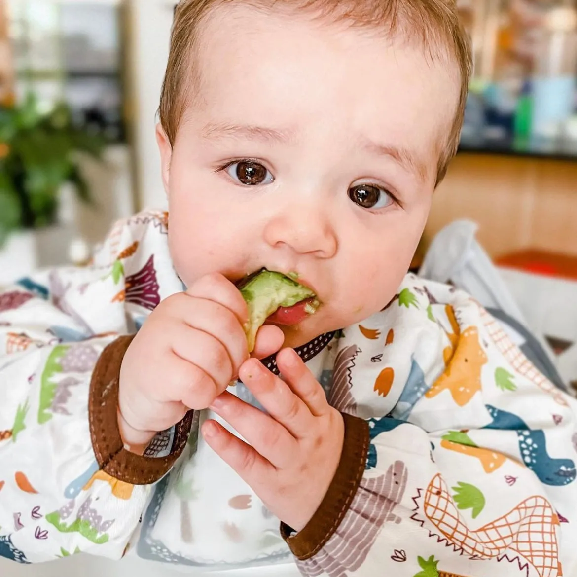 Baby Long Sleeve Apron Smock Bib Strings n' Paws